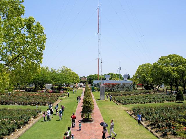 RSK Rose Garden